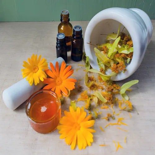 Herbs-Mortar and Pestle
