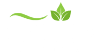 Aamir-Wellness-logo